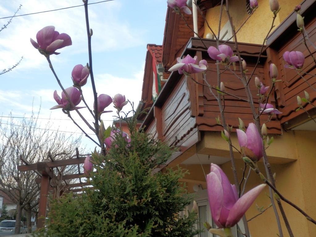 Zsuzsanna Haz Hotel Hévíz Cameră foto