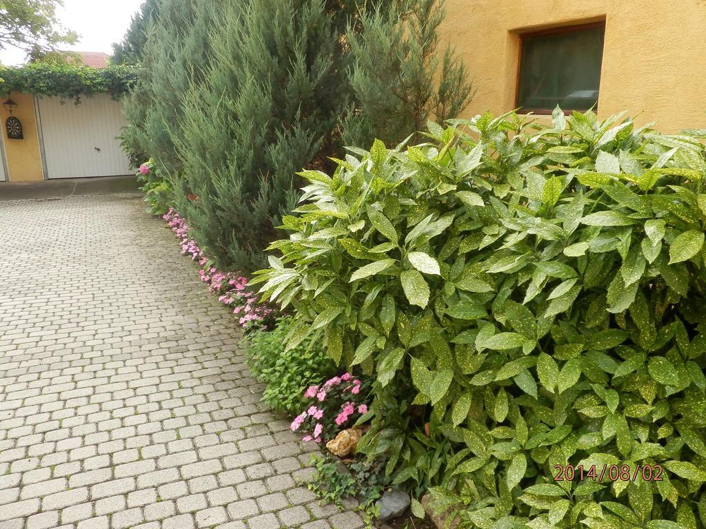 Zsuzsanna Haz Hotel Hévíz Exterior foto